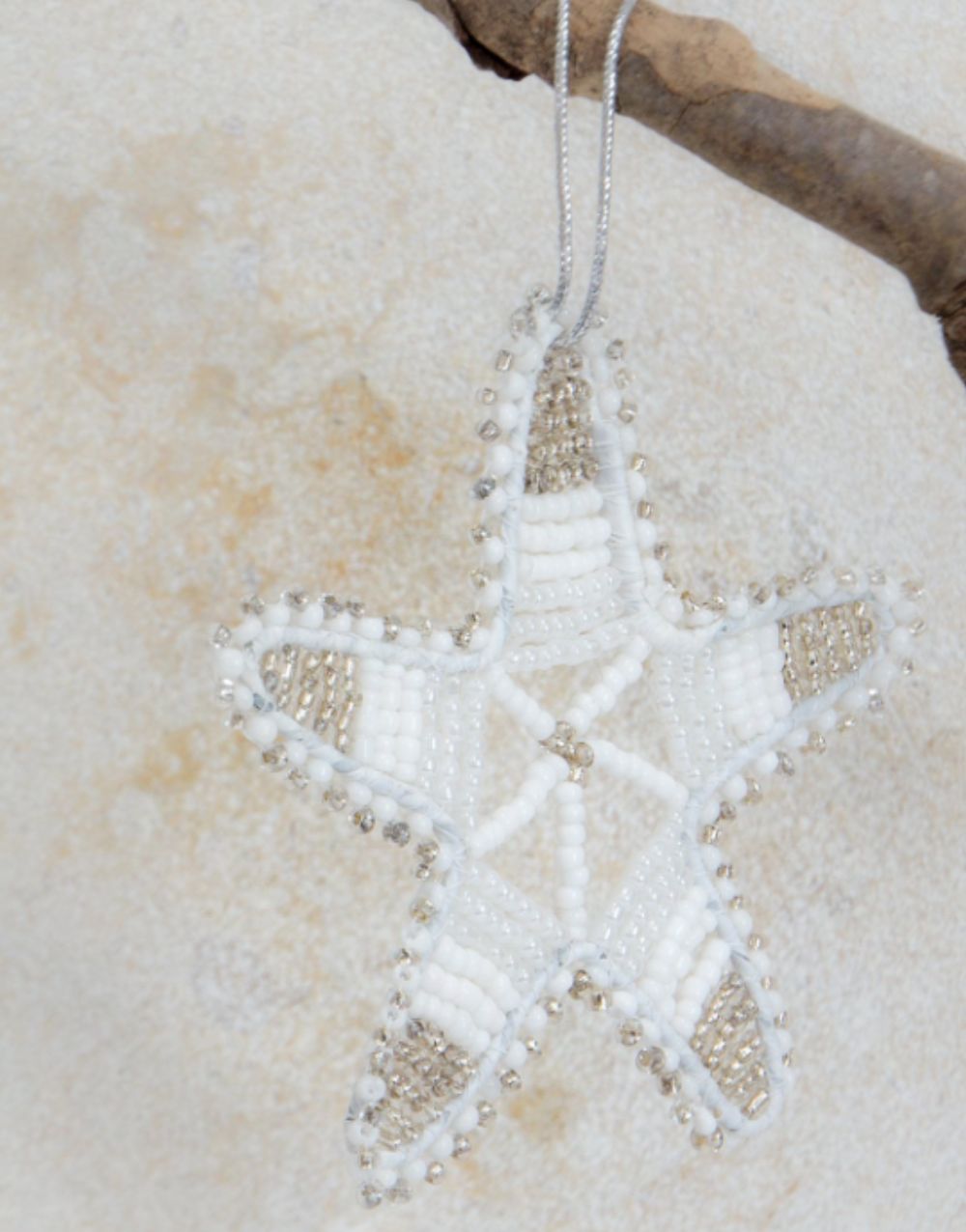Christmas African Star - White