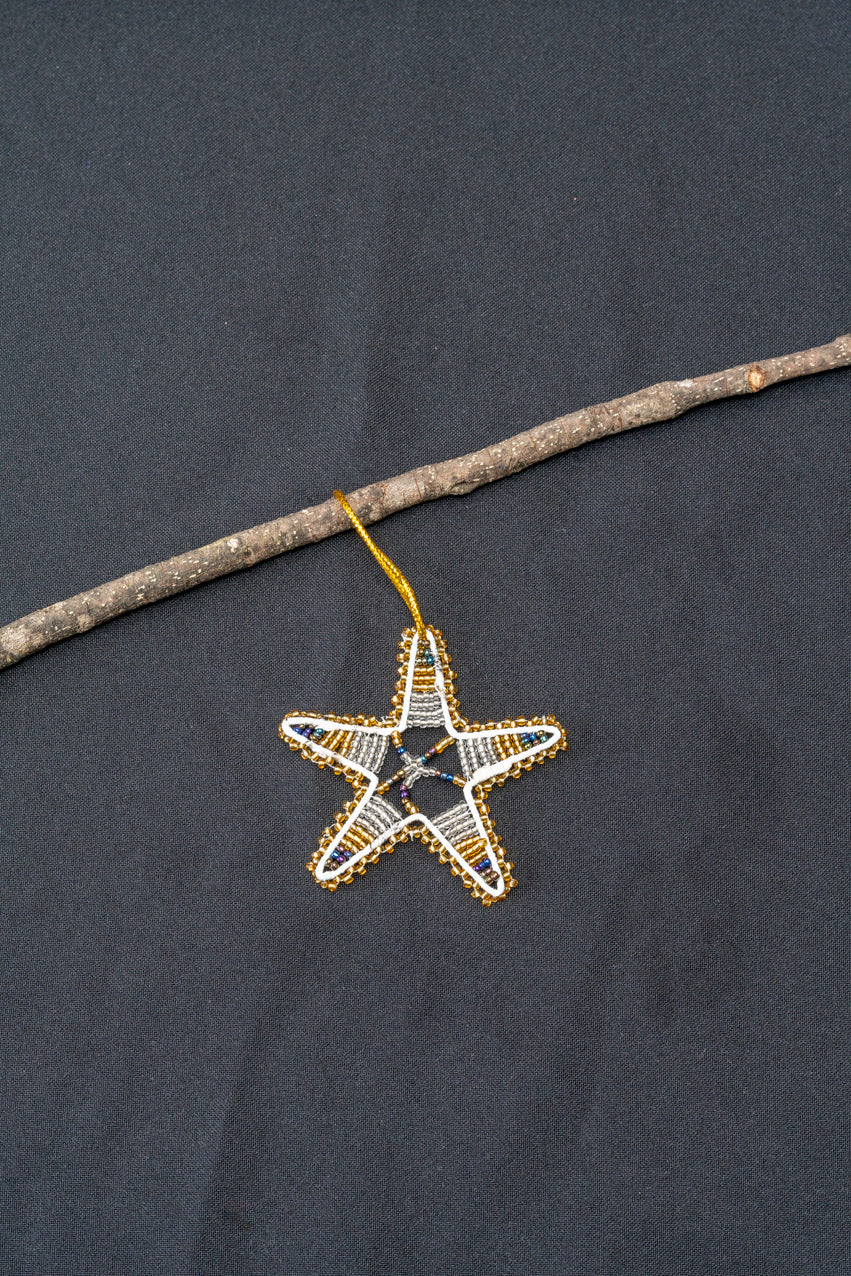 Christmas African Star - Blue & Gold