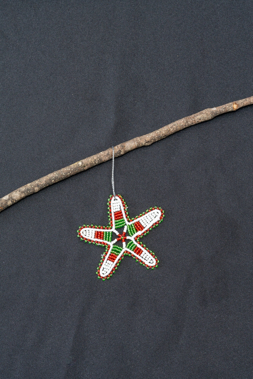 Christmas African Star - Green