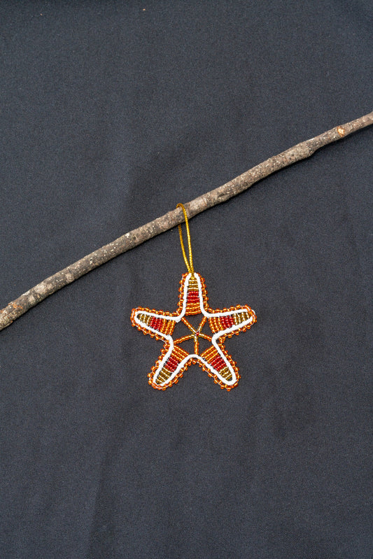 Christmas African Star - Red