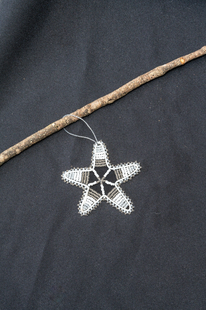 Christmas African Star - White