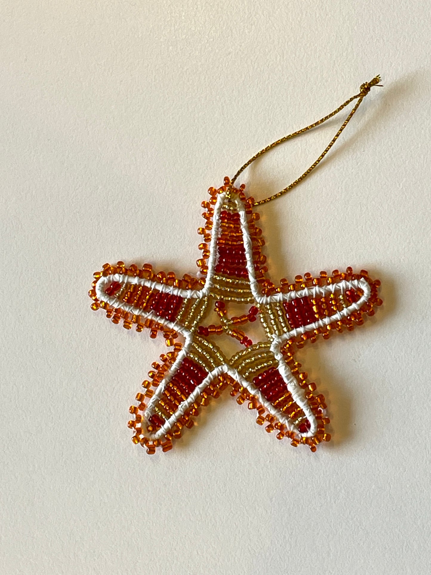 Christmas African Star - Red