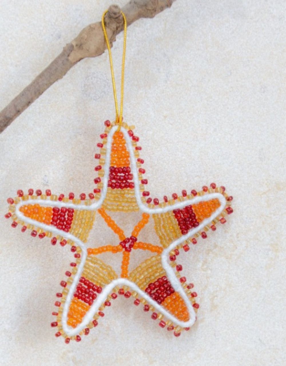 Christmas African Star - Red